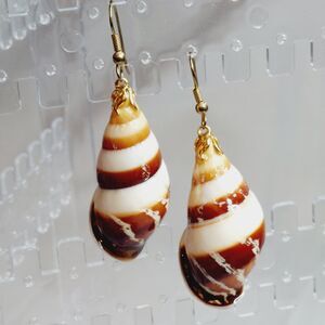 Vintage Conch Shell Dangle Earrings Ocean Sea Vacation Nature 70s Boho Brown